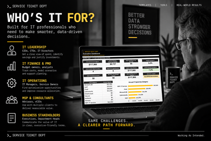 Who the IT Budget & Cost Optimization System v1.0 is designed for